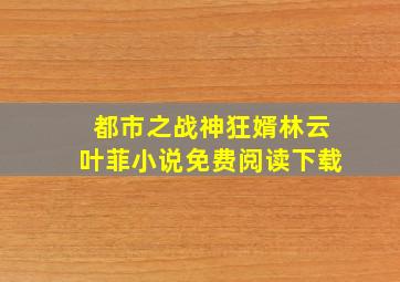 都市之战神狂婿林云叶菲小说免费阅读下载