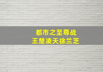 都市之至尊战王楚凌天徐兰芝