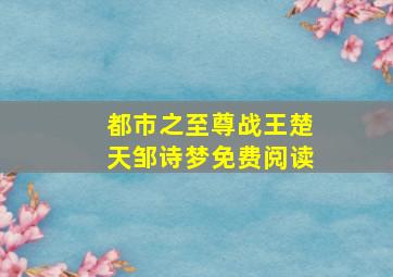 都市之至尊战王楚天邹诗梦免费阅读