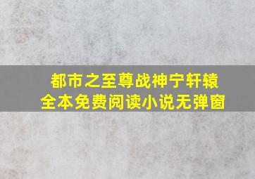 都市之至尊战神宁轩辕全本免费阅读小说无弹窗