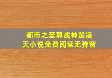 都市之至尊战神楚凌天小说免费阅读无弹窗