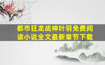 都市狂龙战神叶羽免费阅读小说全文最新章节下载