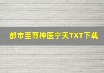 都市至尊神医宁天TXT下载