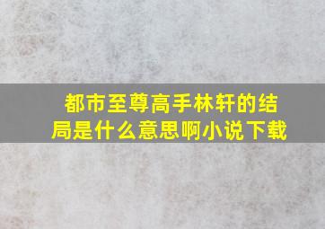 都市至尊高手林轩的结局是什么意思啊小说下载