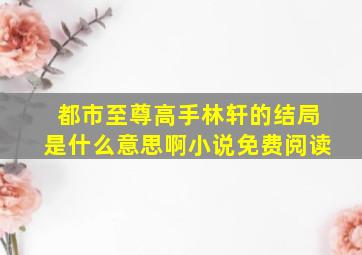 都市至尊高手林轩的结局是什么意思啊小说免费阅读