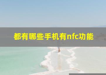 都有哪些手机有nfc功能