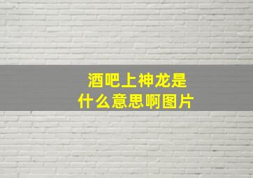 酒吧上神龙是什么意思啊图片