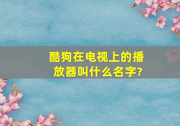 酷狗在电视上的播放器叫什么名字?