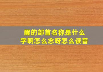 醒的部首名称是什么字啊怎么念呀怎么读音