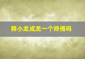 释小龙成龙一个师傅吗