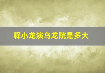 释小龙演乌龙院是多大