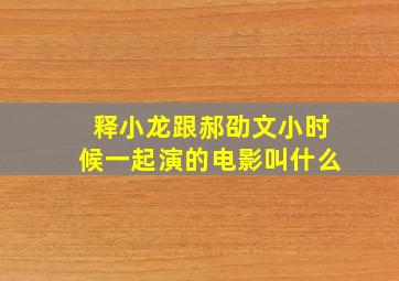 释小龙跟郝劭文小时候一起演的电影叫什么