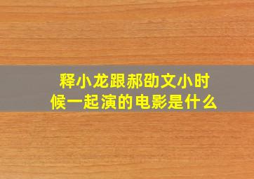 释小龙跟郝劭文小时候一起演的电影是什么