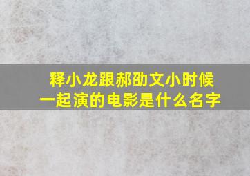 释小龙跟郝劭文小时候一起演的电影是什么名字