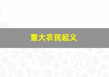 重大农民起义