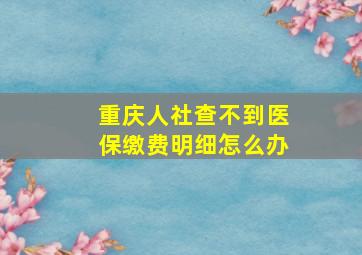 重庆人社查不到医保缴费明细怎么办