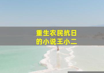 重生农民抗日的小说王小二