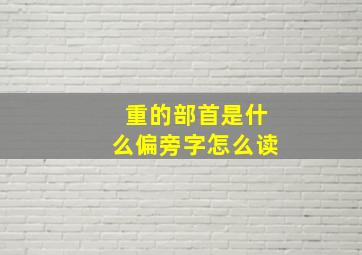 重的部首是什么偏旁字怎么读