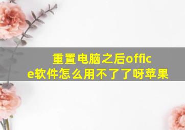 重置电脑之后office软件怎么用不了了呀苹果