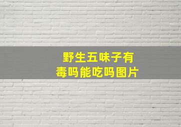 野生五味子有毒吗能吃吗图片