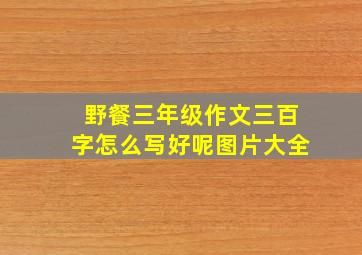 野餐三年级作文三百字怎么写好呢图片大全