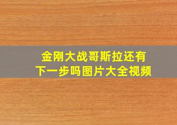 金刚大战哥斯拉还有下一步吗图片大全视频