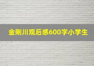 金刚川观后感600字小学生