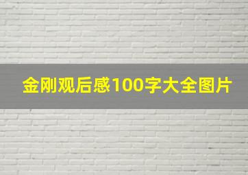 金刚观后感100字大全图片