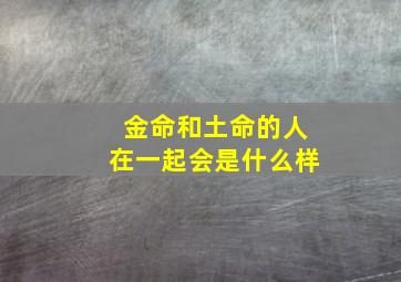 金命和土命的人在一起会是什么样