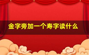 金字旁加一个寿字读什么