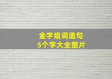 金字组词造句5个字大全图片