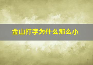 金山打字为什么那么小