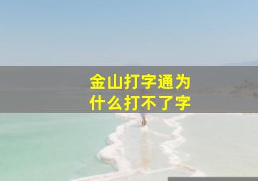 金山打字通为什么打不了字