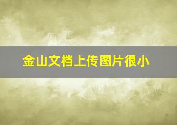 金山文档上传图片很小