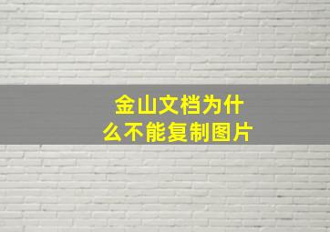 金山文档为什么不能复制图片