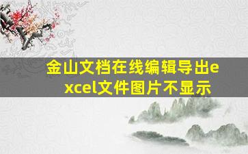 金山文档在线编辑导出excel文件图片不显示