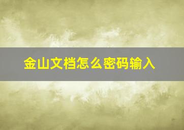 金山文档怎么密码输入