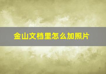 金山文档里怎么加照片