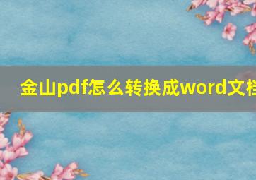 金山pdf怎么转换成word文档