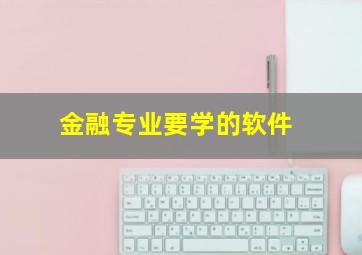 金融专业要学的软件