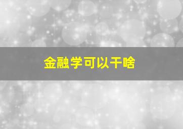 金融学可以干啥