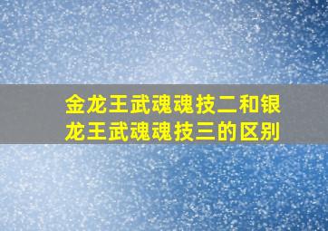 金龙王武魂魂技二和银龙王武魂魂技三的区别