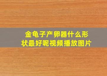 金龟子产卵器什么形状最好呢视频播放图片