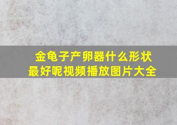 金龟子产卵器什么形状最好呢视频播放图片大全