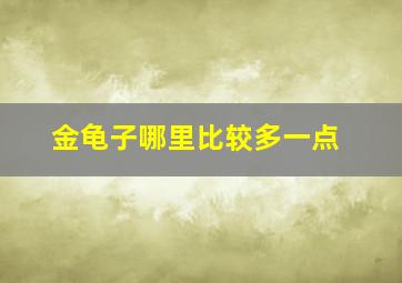 金龟子哪里比较多一点