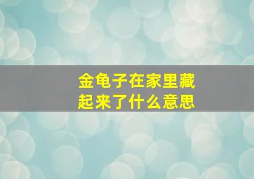 金龟子在家里藏起来了什么意思