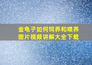 金龟子如何饲养和喂养图片视频讲解大全下载