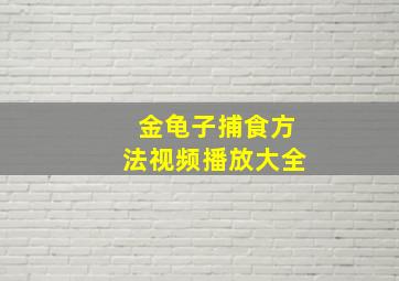 金龟子捕食方法视频播放大全