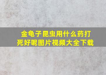 金龟子昆虫用什么药打死好呢图片视频大全下载