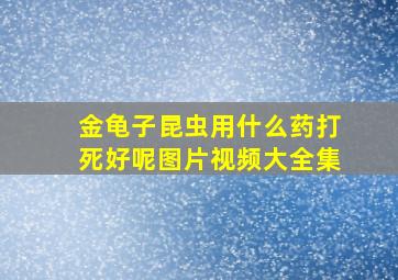 金龟子昆虫用什么药打死好呢图片视频大全集